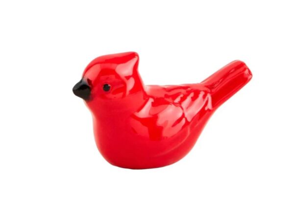 Pocket Cardinal