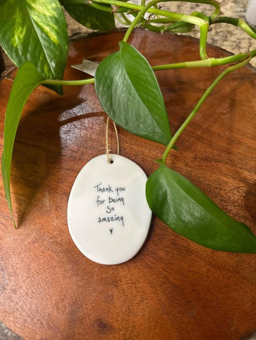 Ornament - Thank you for being so amazing